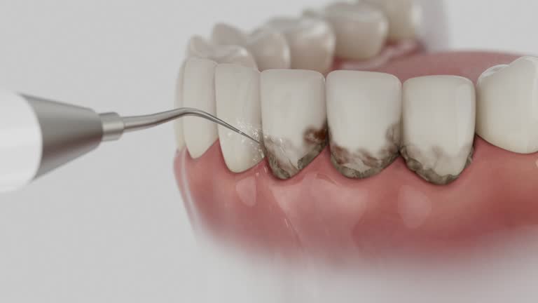 Reliable Dental contractor in Pennington, NJ by Dentist Open Now